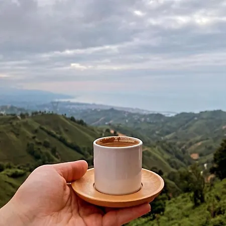 Kartal Yuvasi Dag Evi Hotel Ardesen